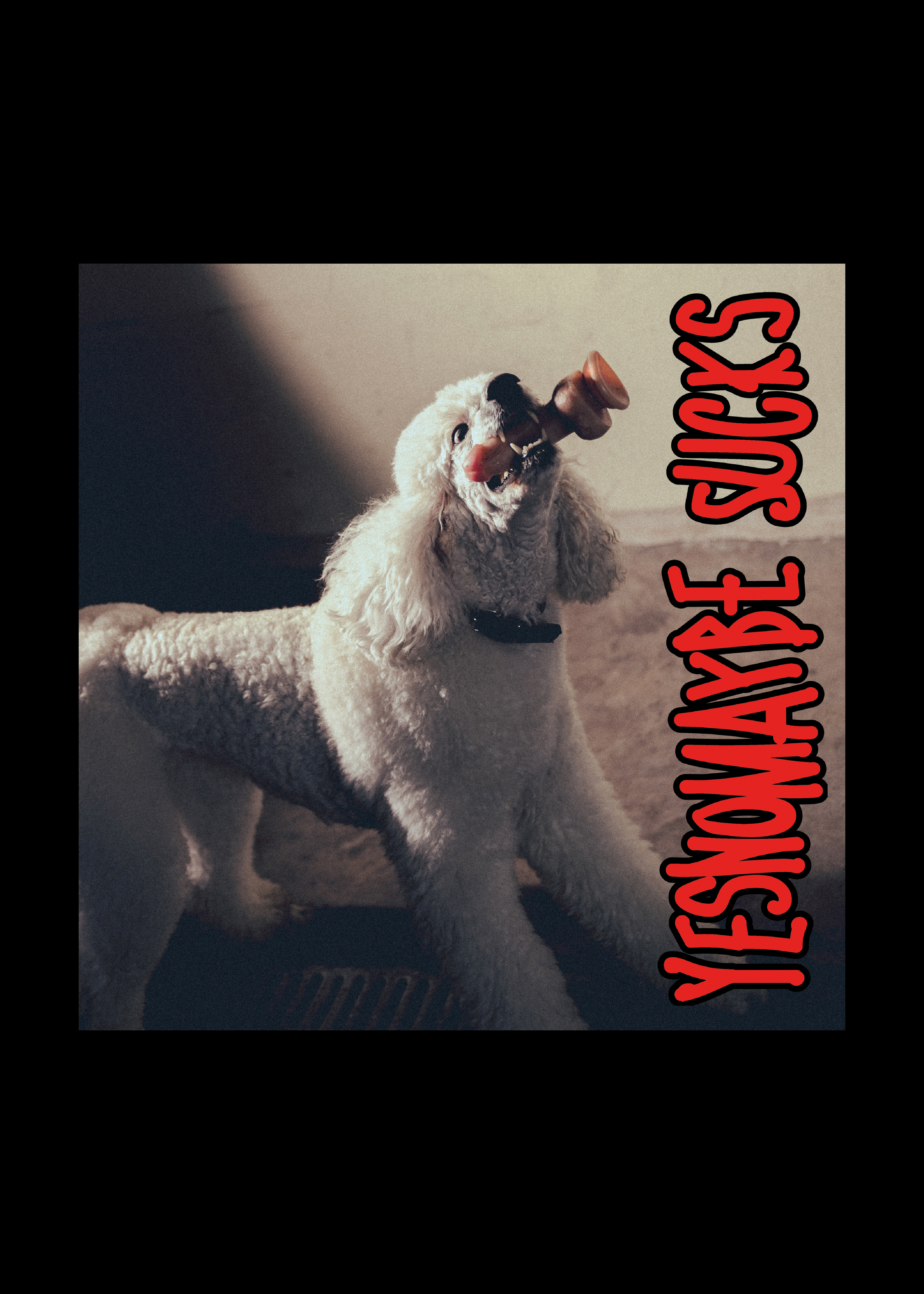 graphic design for YESNOMAYBE